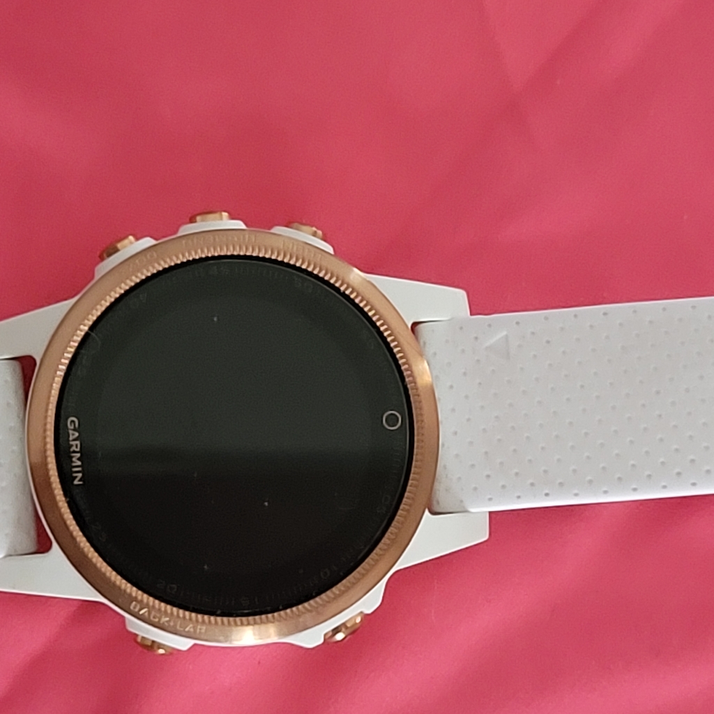 Garmin Phonex S